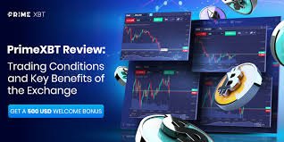 Exploring PrimeXBT The Ultimate Trading Platform for Cryptocurrencies Exploring PrimeXBT The Ultimate Trading Platform for Cryptocurrencies