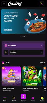 The Ultimate Guide to Casiny App Features and Benefits