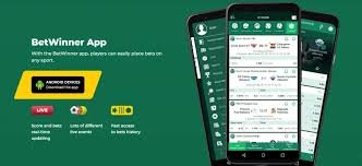 Comprehensive Guide to BetWinner Customer Support 6
